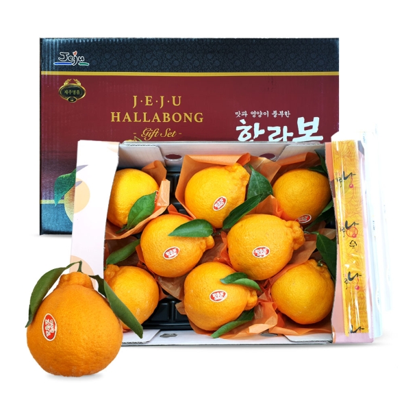 [베네팜] 제주 한라봉 대과 3kg/5kg (선물용)