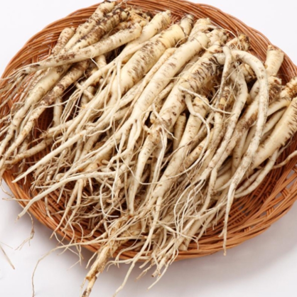 [하늘농장] 남도 2-3년키운 비세척 생도라지 1kg/2Kg (중대특혼합)