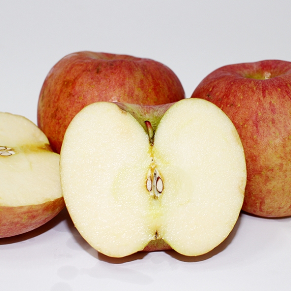 [보름데이][가정용흠집사과] 2025년 햇 부사사과 2kg(8~10개입)