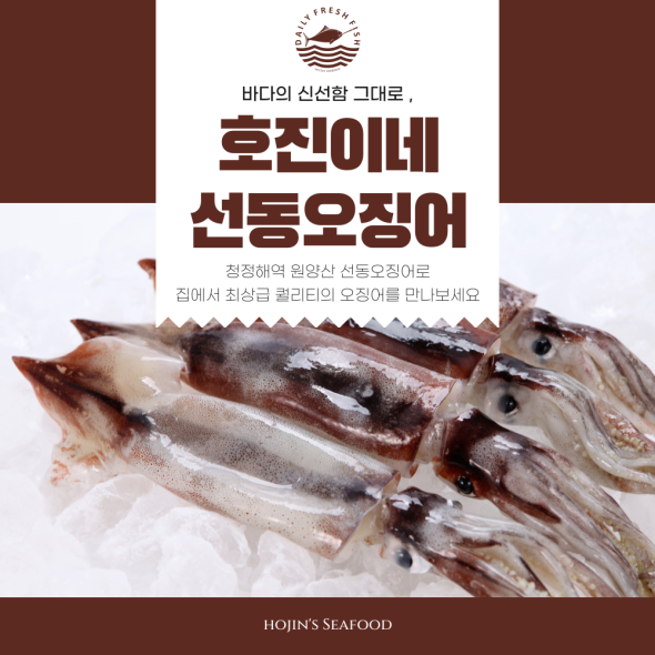 호진이네 100% 수작업 냉동손질오징어 원양산 호진이네 급냉오징어 2마리~10마리