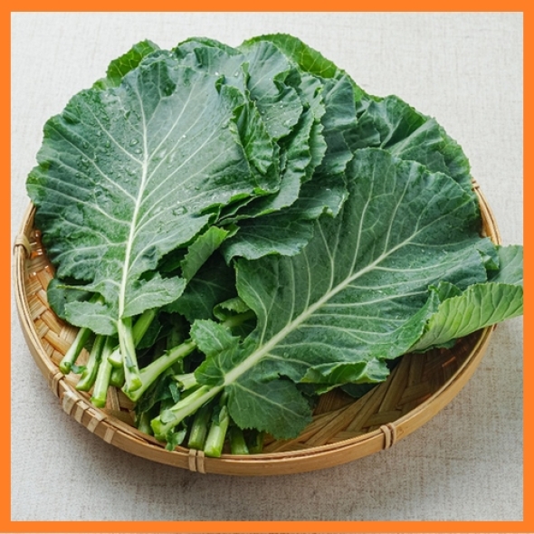 [한결스토어]가 고른 슈퍼푸트 케일 1kg/2kg (쌈용)