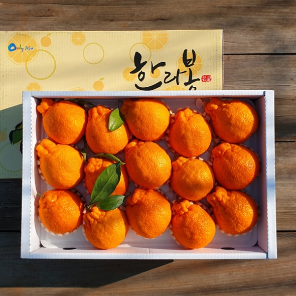 명품한라봉선물세트5kg(15~20개입) 