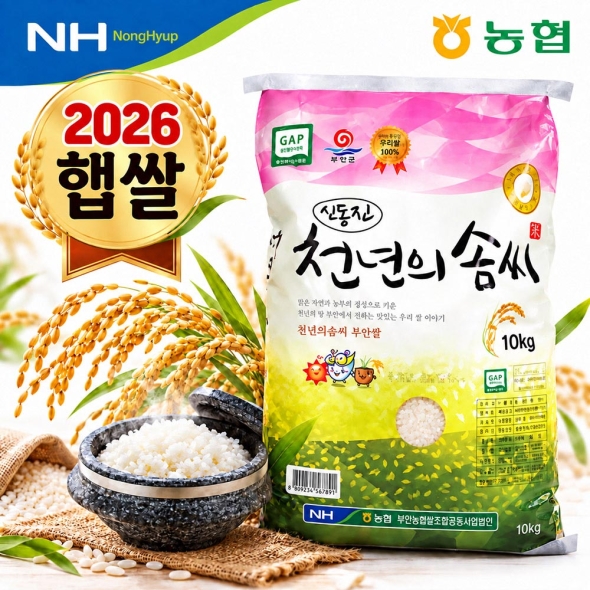 2026년 햅쌀 / 부안농협 천년의솜씨 신동진쌀 10kg / 당일도정