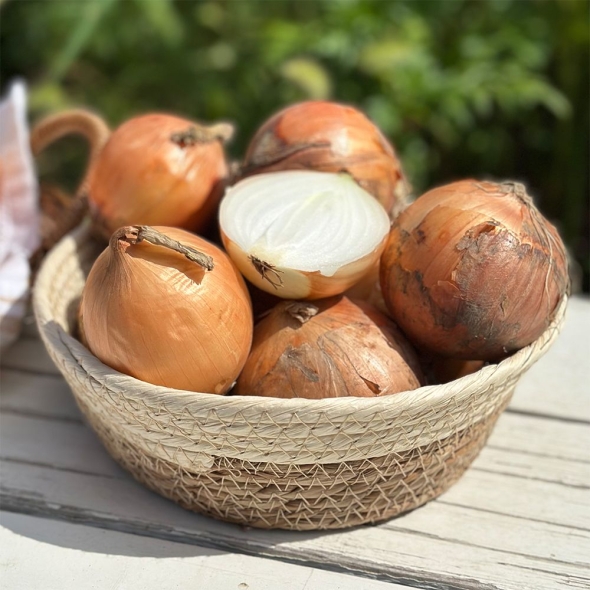 [자연농장] 국내산 양파 3kg/5kg/10kg (중소혼합/상/특/왕특)