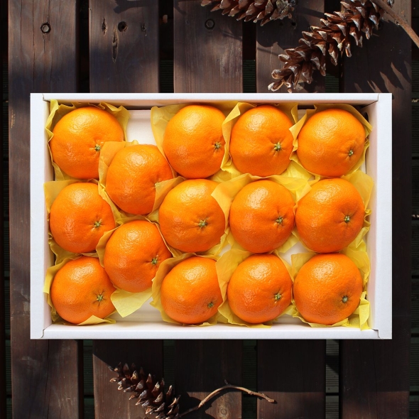 달콤한 레드향 3kg(12~15개입)