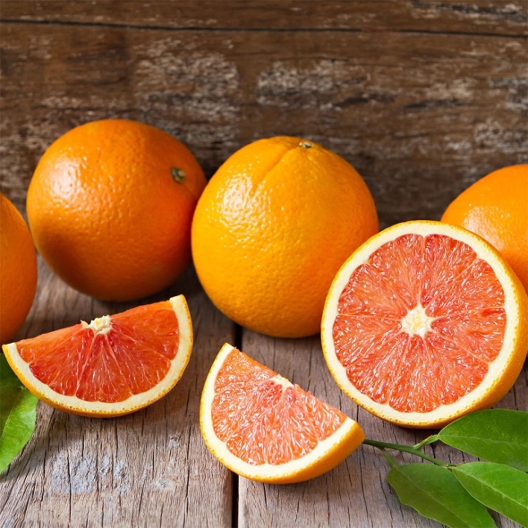 [베네팜] 카라카라 오렌지 중과 10과/20과/30과/벌크 (사이즈선택)