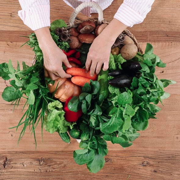 [봄맞이 특가] 유러피안 샐러드 & 부사 가정용 알뜰사과 