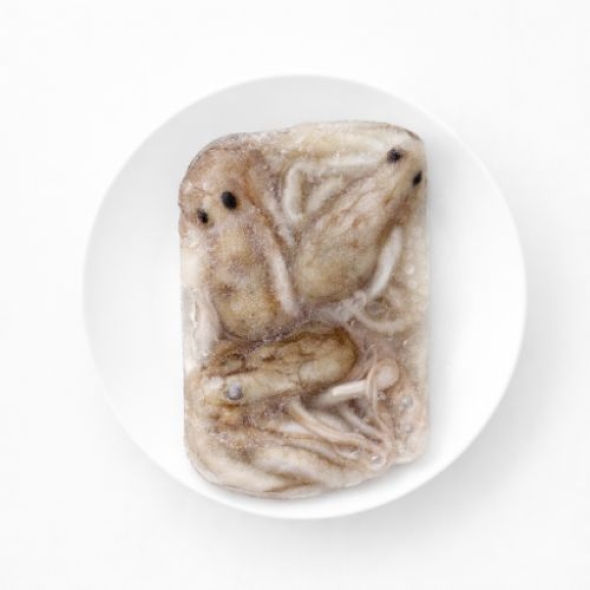 호진이네 급냉 활낙지 냉동낙지 낙지볶음재료 연포탕재료 4미900g~4kg