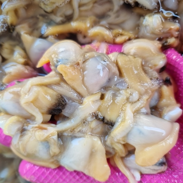 홍지수산 바지락살 손질 냉동 1kg  순살 바지락 간편한 선택