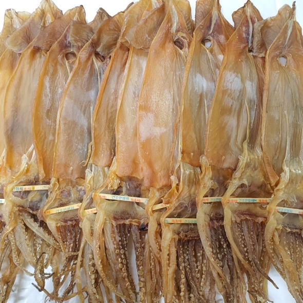 [프리미엄] 국내산 쪼글이 마른 오징어 