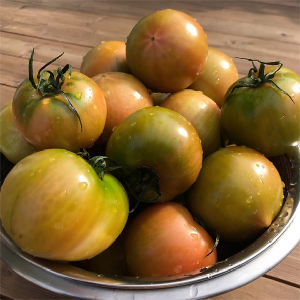 [자연농장] 대저 짭짤이토마토 2.5kg (못난이/일반/특품)