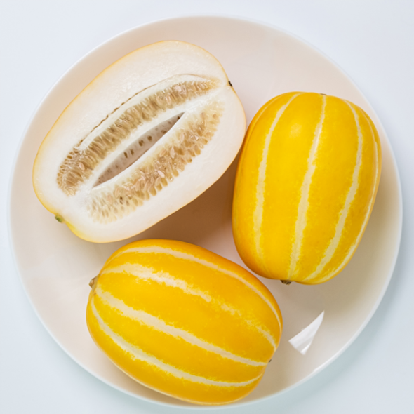 당도측정 고당도 참외