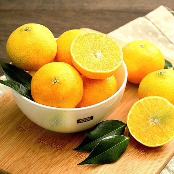 제주도 황금향 2kg/3kg/5kg 고급진 달콤함