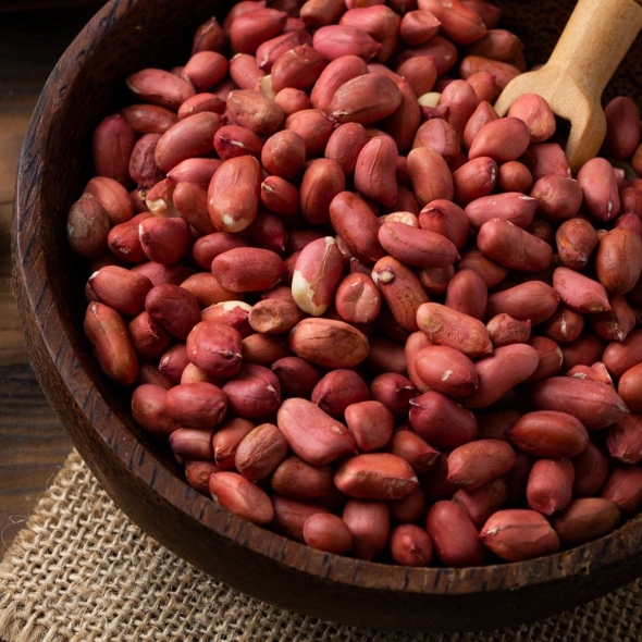 [굿모닝너츠] 볶음땅콩 (1kg/2kg/3kg/4kg/5kg)