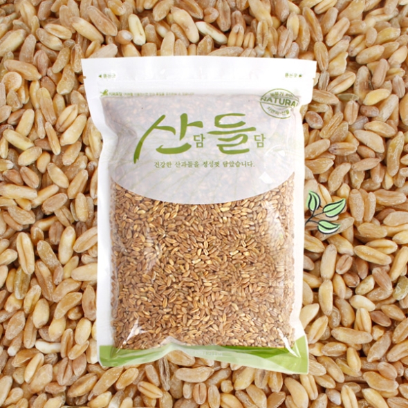 [산담들담] 우리잡곡 국내산 호라산밀(카무트) 1팩/2팩/3팩/5팩 (팩당1kg)