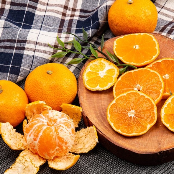 제주직송  새콤달콤 비가림 감귤 2.5kg/4.5kg