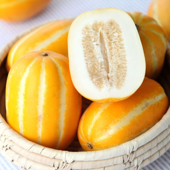 [미가원] 성주 정품 참외 1.5kg/2kg/3kg (소/중/대)