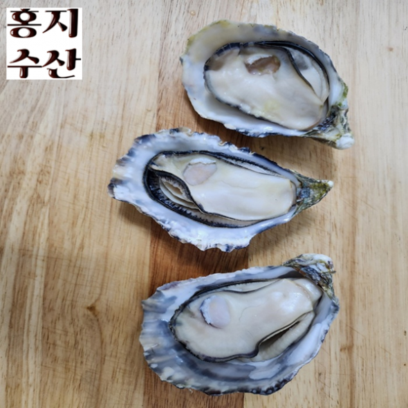 [만원의 행복] 홍지수산 고흥석화 삼배체굴 4-8개 1kg  프리미엄 수출굴