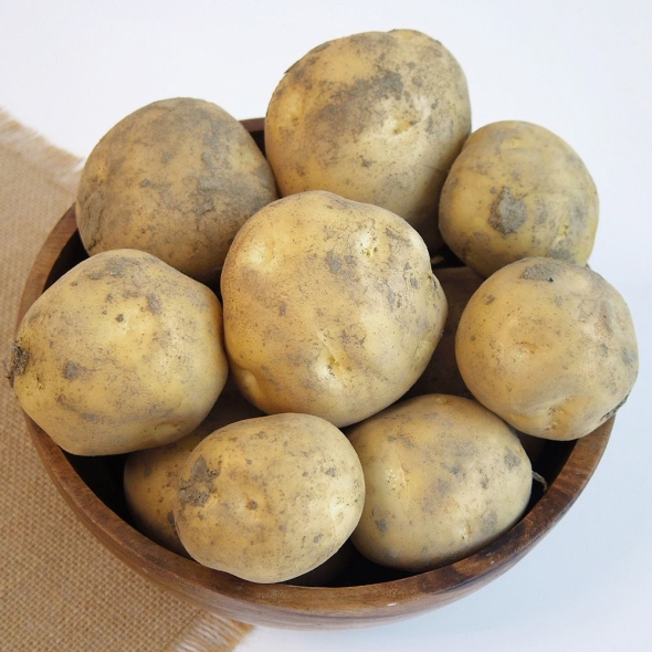 [가락시장] 당일경매 햇 수미감자 3Kg/5Kg/10Kg (크기선택)