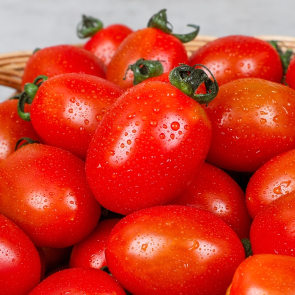 산지직송 대추방울토마토 로얄과 1kg/2kg