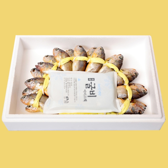  [선물세트] 영광 마파도 굴비 장대 3호(20미1.4kg ) 