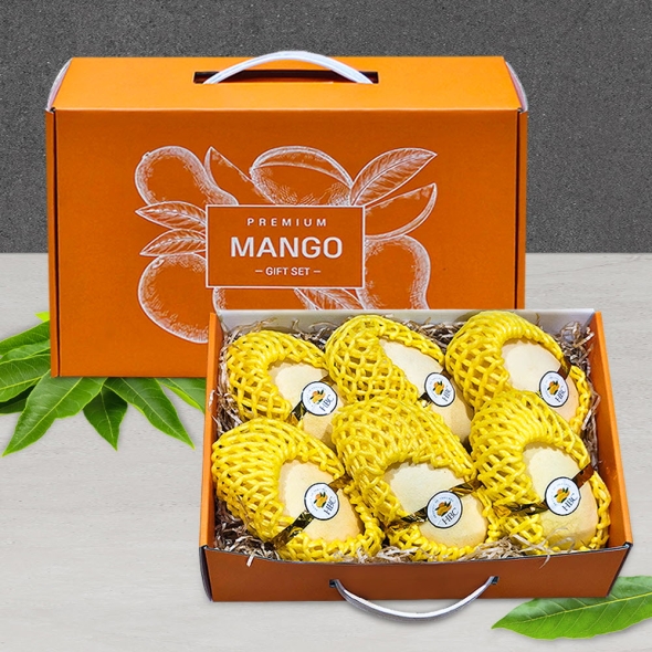 [베네팜] 실속 태국망고/애플망고 선물세트 1.9kg/2kg