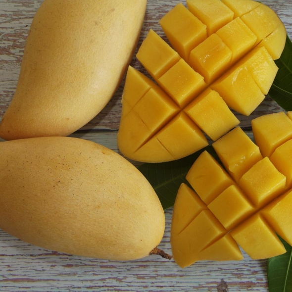 [베네팜] 프리미엄 남덕마이 태국망고 2kg/2.5Kg/4kg/5kg