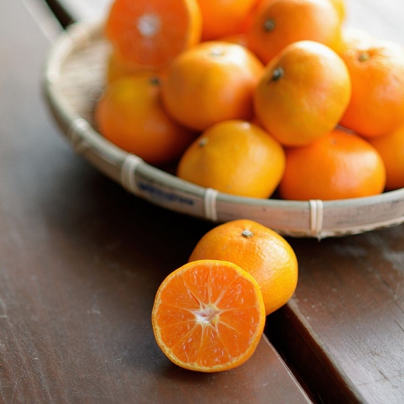 [미가원] 제주직송 돌담농장 타이백감귤 2.5kg/4.5kg/9kg