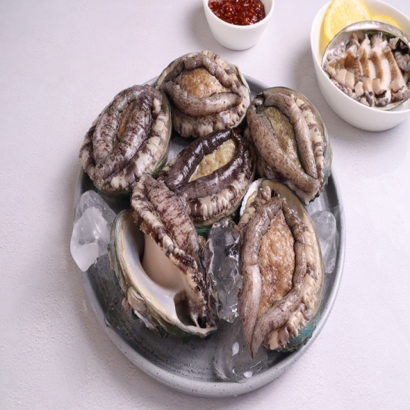 [진도전복] 산지직송 진도 활전복 1kg(손질도구 포함)