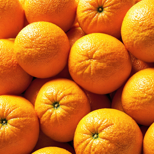 당도선별 고당도 오렌지