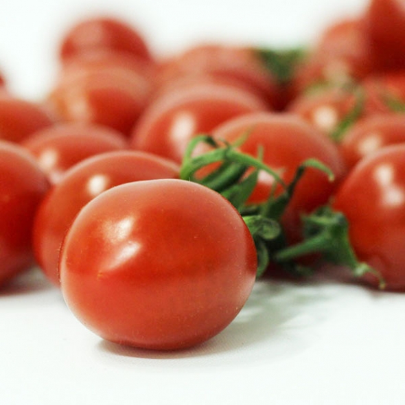 [만원의 행복] 대추방울토마토1.5/3kg_옵션선택