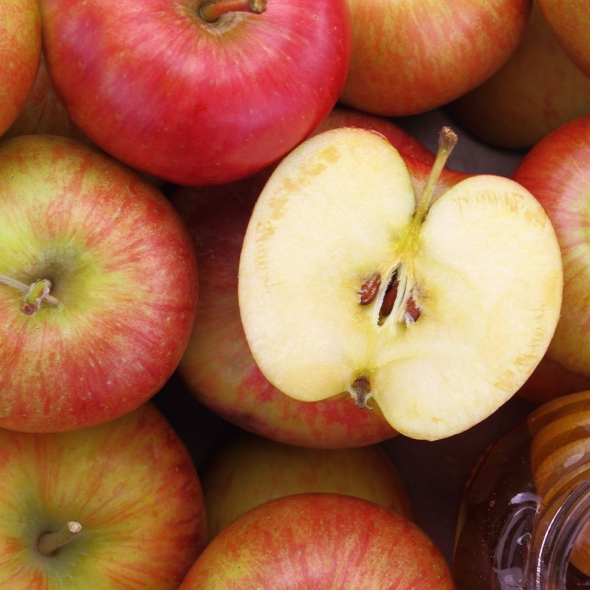 [향기담은] 경북 고당도 꿀부사 2kg/3kg/5kg (정품)