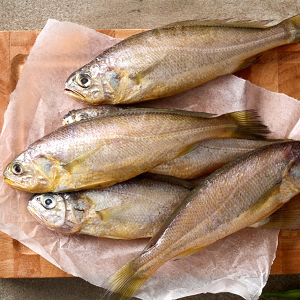 [제주특선] 참조기세트 10미/20미(중/마리당80g이상/각5미포장)