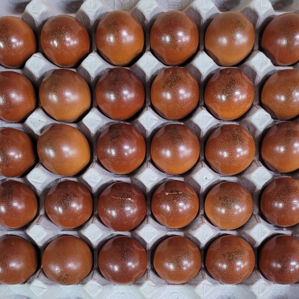 [평창양계] 맥반석 구운계란30알 착한마음 아저씨쌀집