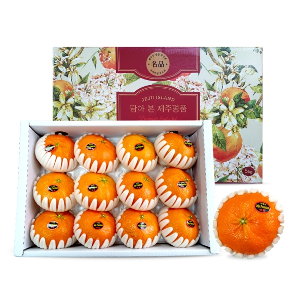 [베네팜] 제주 레드향 대과 3kg/5kg (선물용)