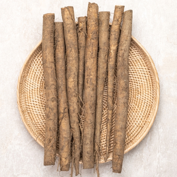 [하늘농장] 남도 햇 생우엉 1kg/2Kg/4Kg (상/특품)