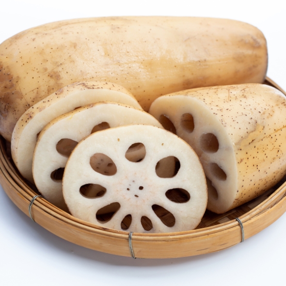 [하늘농장] 남도 비세척 햇 생연근 1kg/2Kg/3Kg (특품/크기혼합)