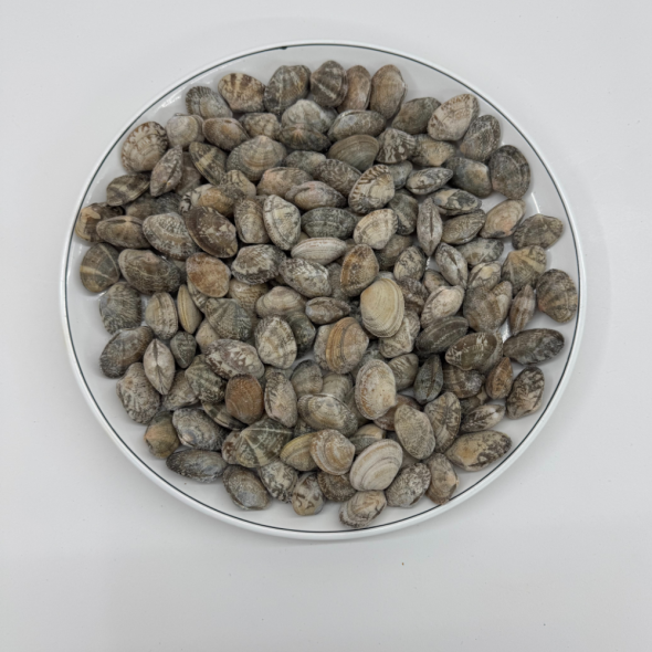 호진이네 냉동 바지락 피바지락 급냉 세척 1kg~5kg