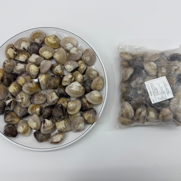 호진이네 백합조개 해감된 급냉 백합 조개찜 탕 봉골레 파스타 1kg~5kg