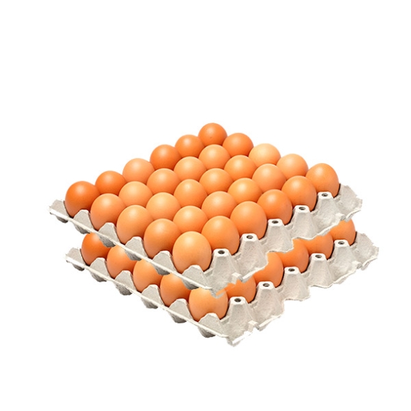 [HACCP인증] 1+1 힘내란 구운란 30개입 2판 (총60알)