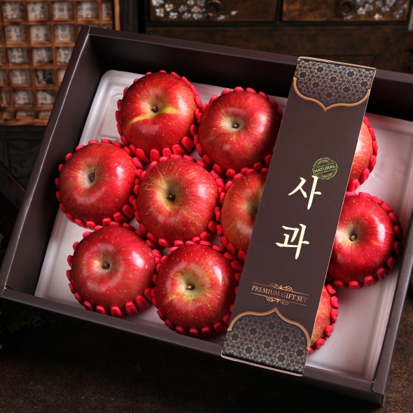 [선물세트]정다운 사과세트 2.8kg(10개입)