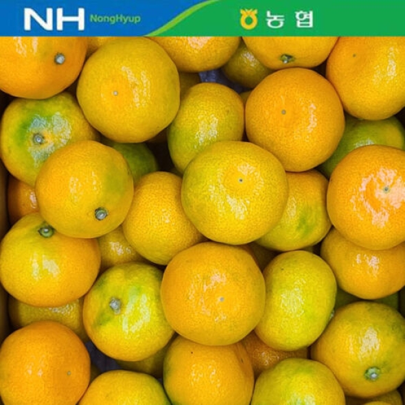 [제주감귤농협] GAP_귤림원 가정용 하우스감귤 [1.7kg-4.5kg]