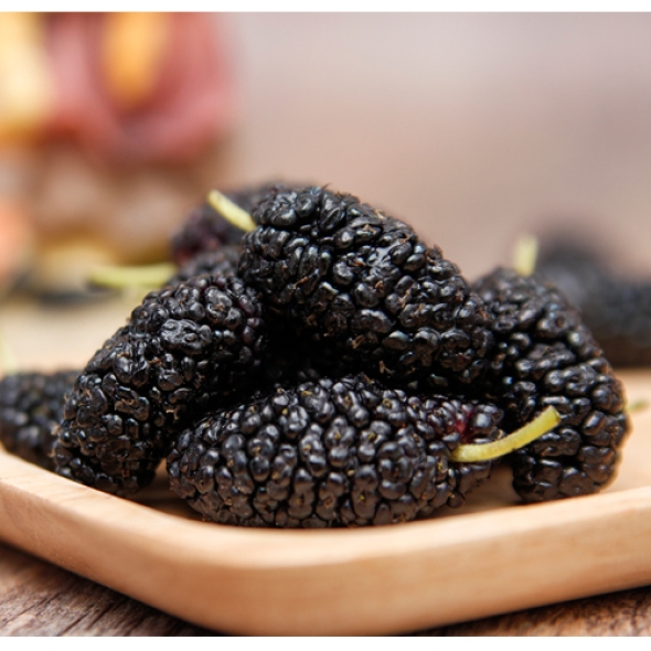 [국내산] 담양농협 냉동오디 1kg