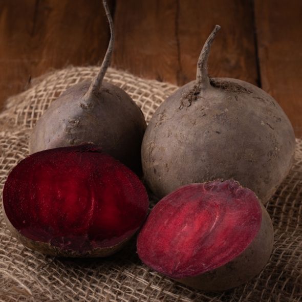 [하늘농장] 남도 생비트 5kg/10Kg (특품/크기혼합)