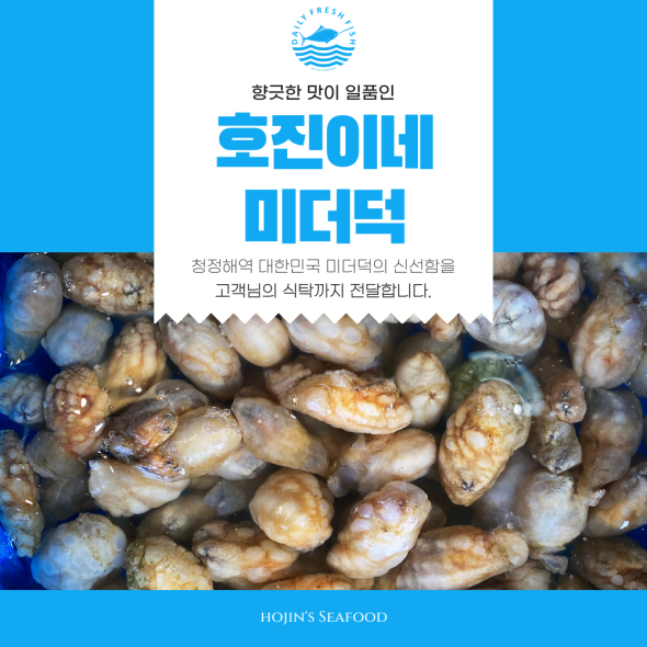 호진이네 냉동 미더덕 신선한 해산물 해물찜 재료 500g~2.5kg
