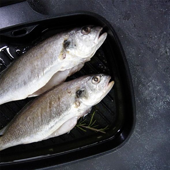 [제주특선] 백조기(보구차) 1팩/2팩/3팩 (팩당750g이상/3~4마리)