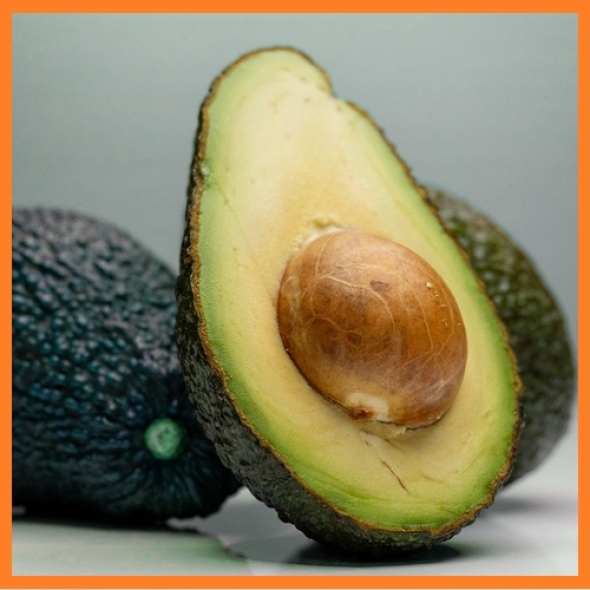 [한결스토어]가 고른 아보카도 중/특대과 5개/10개/20개입