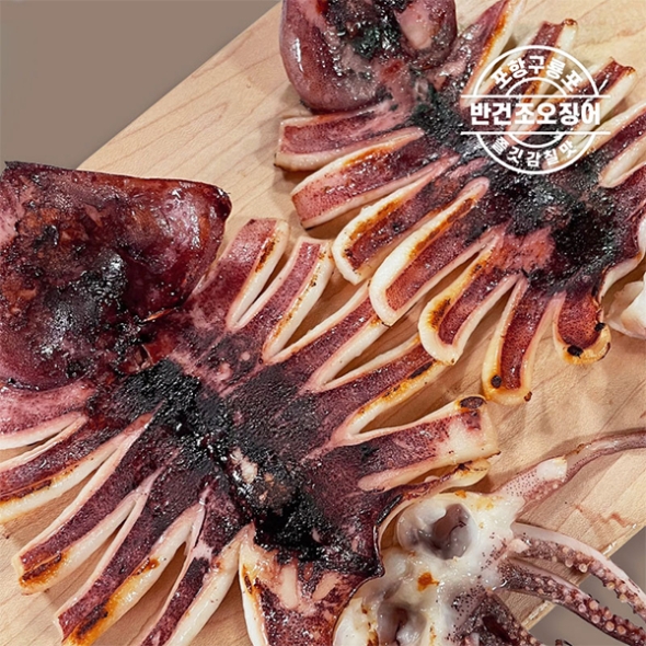 [미가원] 산지직송! 구룡포 반건조 오징어 5미/10미 (중량선택)