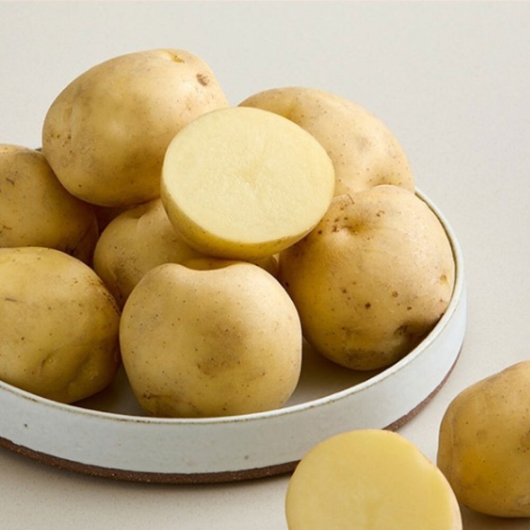 [특별할인][클래식농원] GAP, 저탄소 괴산 두백 감자 대왕 3kg