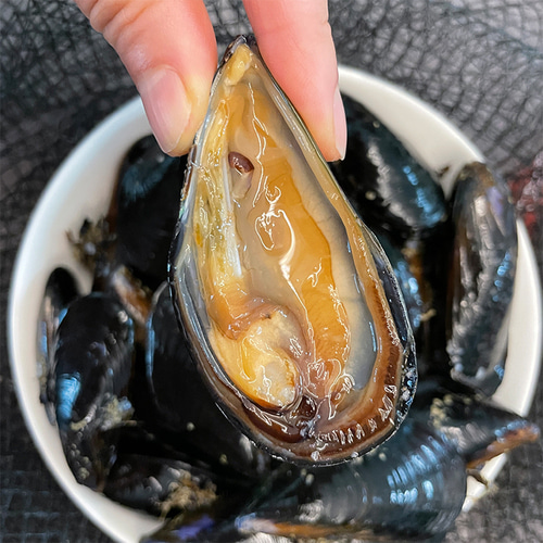 [水] 통영 거제 손질 홍합살 500g 육수용 홍합 탕 생홍합살